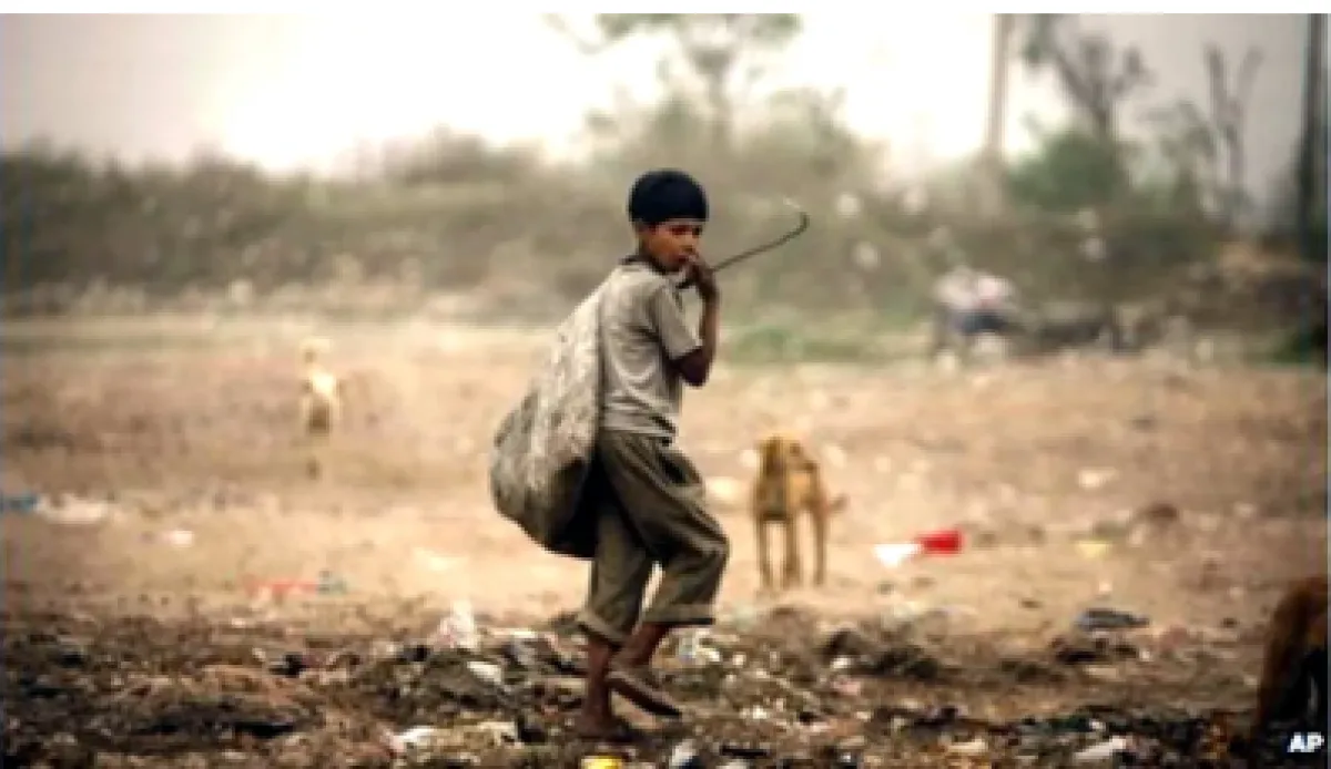 HUMANITY AND HUMANS