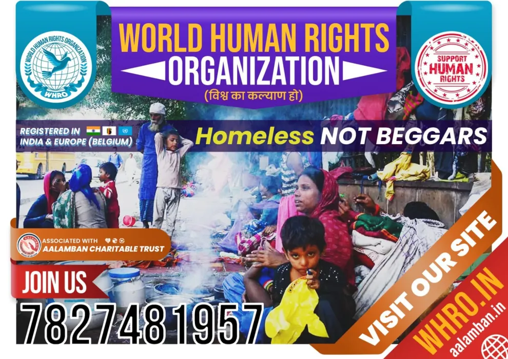Strategic Roadmap for World Human Rights Organization